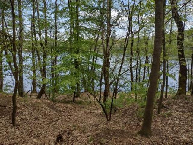 Bezpośrednio, Jeleń, 3400 m² Działka