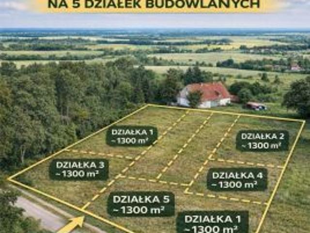 Bezpośrednio, Jelonki, 7099 m² Działka