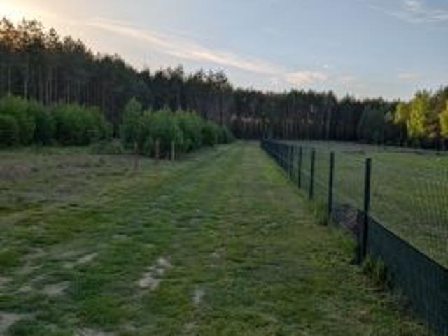 Bezpośrednio, Jurki, 3000 m² Działka