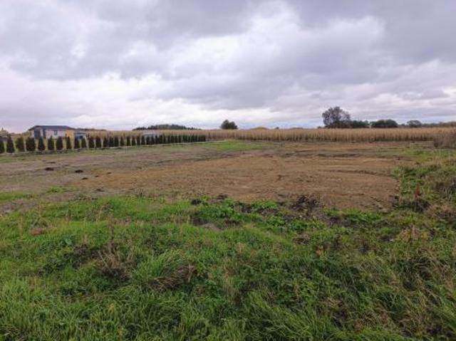 Bezpośrednio, Żółtańce, 1467 m² Działka