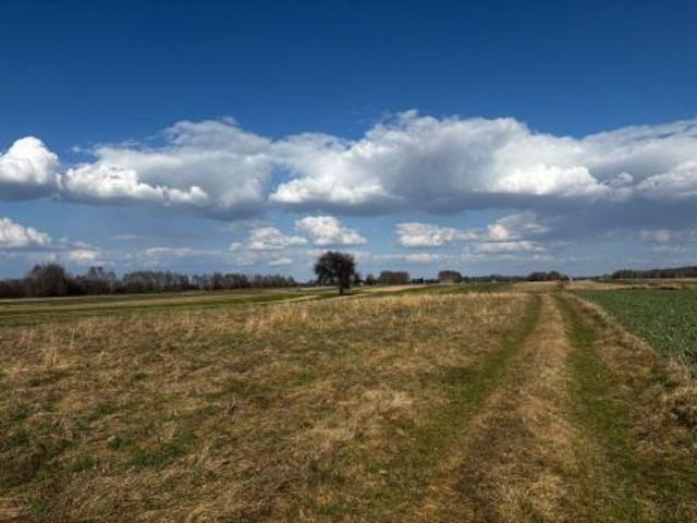 Bezpośrednio, Żołynia, Bikówka, 1300 m² Działka