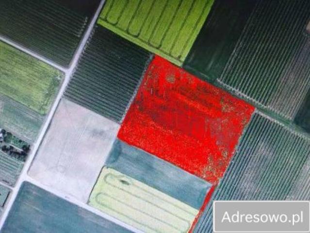 Bezpośrednio, Ożarów, 17000 m² Działka