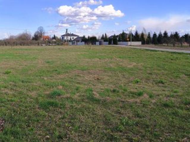 Bezpośrednio, Łoniów, 3000 m² Działka
