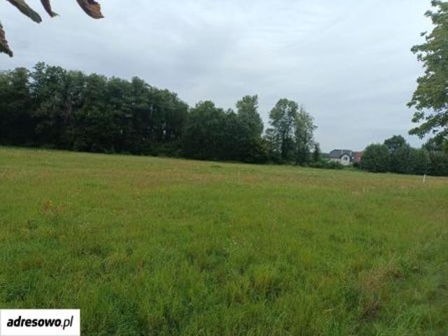 Bezpośrednio, Obłotne, ul. Kobaltowa, 1216 m² Działka