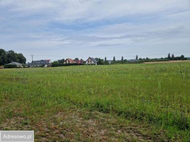 Bezpośrednio, Obora, 517 m² Działka