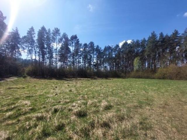 Bezpośrednio, Obrowo, ul. Sarnia, 1414 m² Działka