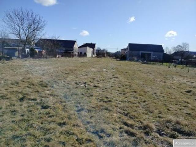 Bezpośrednio, Ochotnik, 3901 m² Działka
