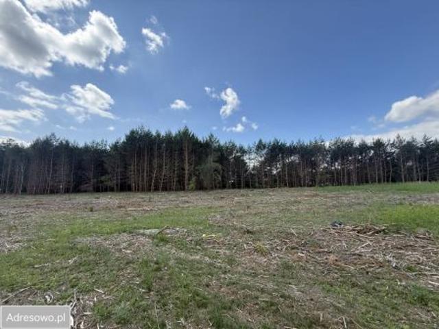 Bezpośrednio, Łochowo, ul. Sosnowa, 936 m² Działka