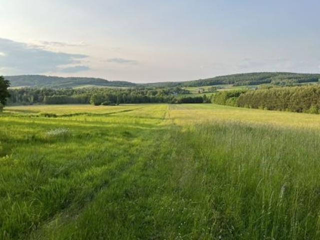 Bezpośrednio, Ociesęki, 8830 m² Działka