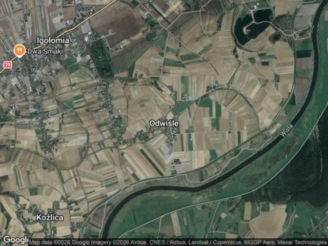 Bezpośrednio, Odwiśle, 176 m² Działka
