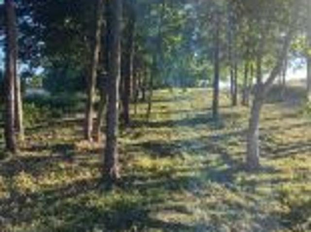 Bezpośrednio, Łodygowice, ul. Pod Groniem, 4100 m² Działka