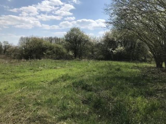 Bezpośrednio, Łódź, Polesie, ul. Muszkieterów, 1080 m² Działka