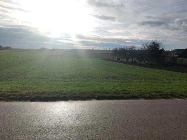 Bezpośrednio, Ojrzanowo, 1000 m² Działka