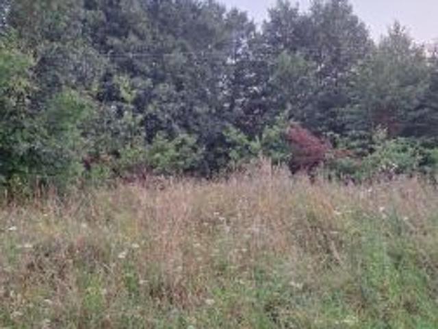 Bezpośrednio, Okuniowiec, 2345 m² Działka
