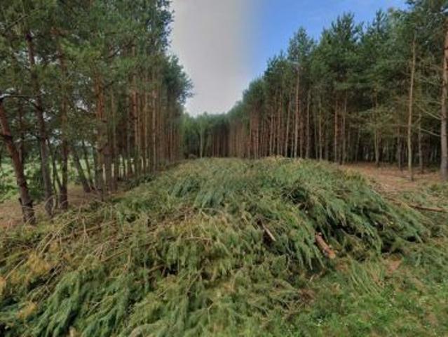 Bezpośrednio, Okna, 2579 m² Działka