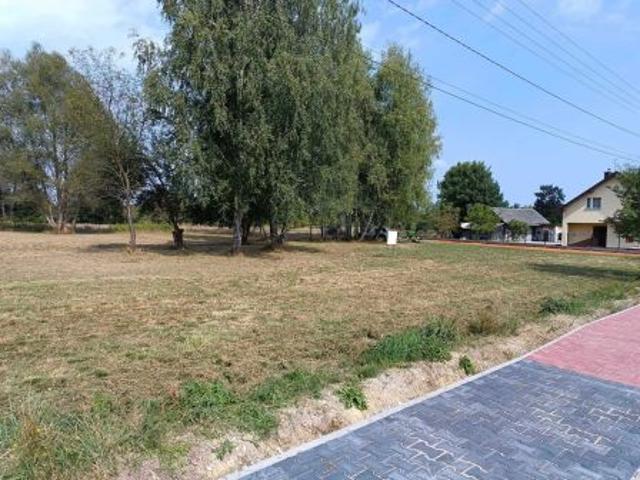 Bezpośrednio, Oleśnica, 3100 m² Działka