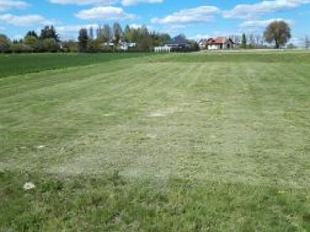 Bezpośrednio, Oleszyce, ul. Zielona, 1100 m² Działka