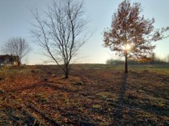 Bezpośrednio, Olkusz, Czarna Góra, ul. 29 Listopada, 725 m² Działka