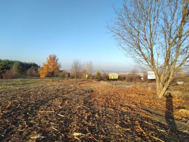 Bezpośrednio, Olkusz, Czarna Góra, ul. 29 Listopada, 807 m² Działka