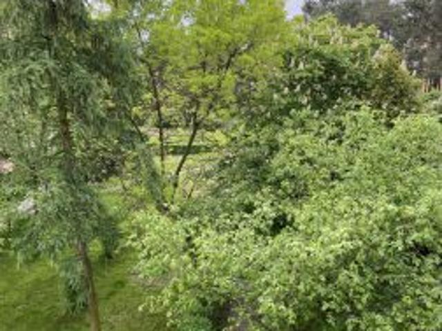 Bezpośrednio, Olkusz, Pakuska, ul. Strzelców Olkuskich, 49 m² Mieszkanie