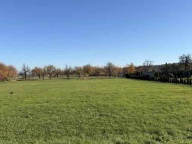 Bezpośrednio, Olszowa, ul. Szkolna, 1300 m² Działka