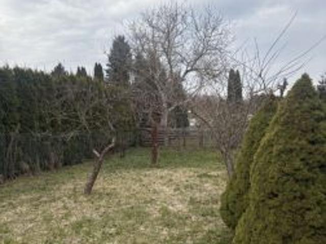 Bezpośrednio, Olsztyn, 300 m² Działka