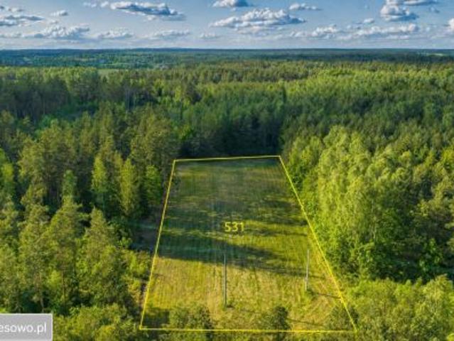Bezpośrednio, Olszyny, 5576 m² Działka