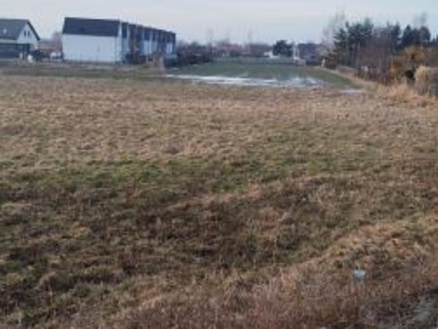 Bezpośrednio, Opole, Szczepanowice, ul. Sąsiedzka, 4274 m² Działka
