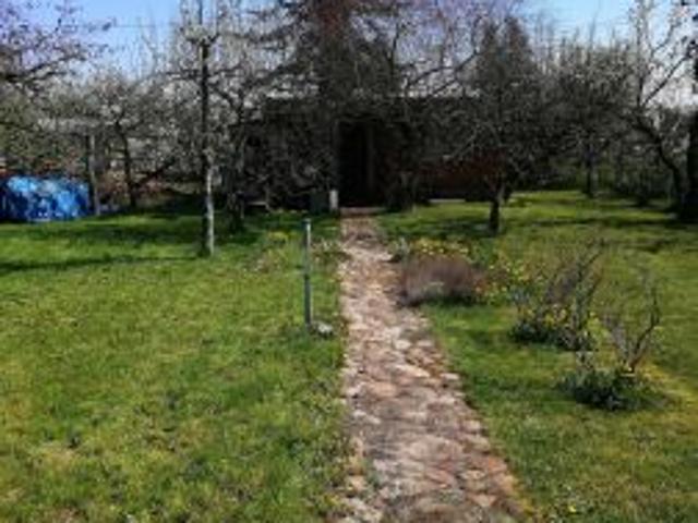 Bezpośrednio, Opole, ul. Ludwika Solskiego, 411 m² Działka