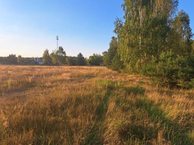 Bezpośrednio, Orłowo, 11800 m² Działka