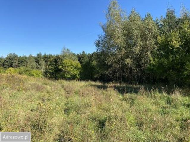 Bezpośrednio, Żórawie, ul. Malinowa, 1102 m² Działka
