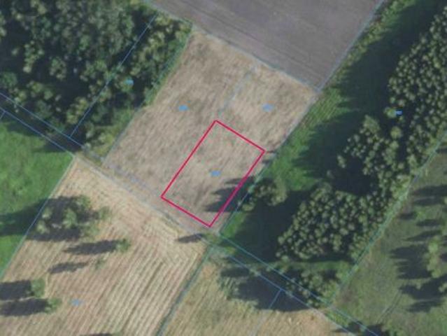 Bezpośrednio, Orliska, 1257 m² Działka