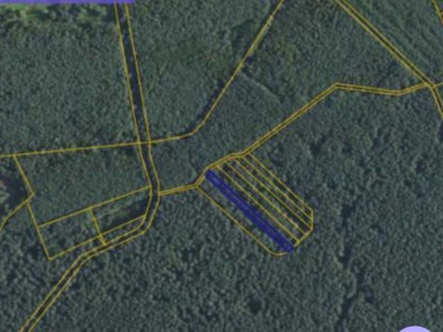 Bezpośrednio, Orliska, 1467 m² Działka