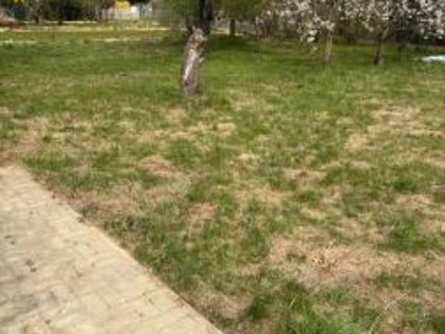 Bezpośrednio, Ostrów Wielkopolski, ul. Wrocławska, 400 m² Działka