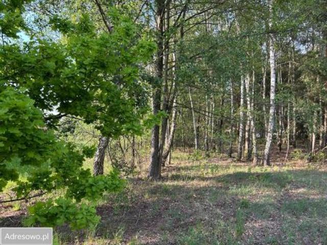 Bezpośrednio, Ostrówek, 940 m² Działka