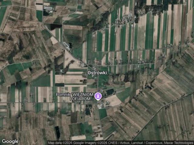 Bezpośrednio, Ostrówki, 32100 m² Działka