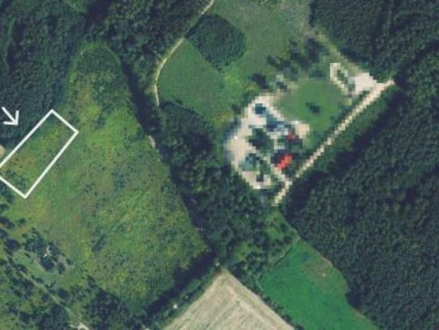 Bezpośrednio, Ostrowin, 6134 m² Działka