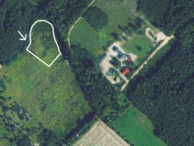 Bezpośrednio, Ostrowin, 9747 m² Działka