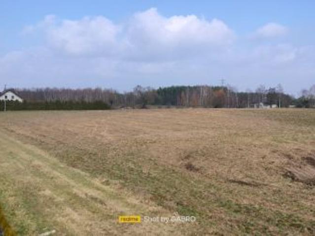 Bezpośrednio, Ostrowitko, 1000 m² Działka