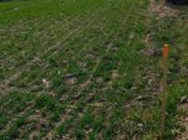 Bezpośrednio, Ostrowite, 800 m² Działka