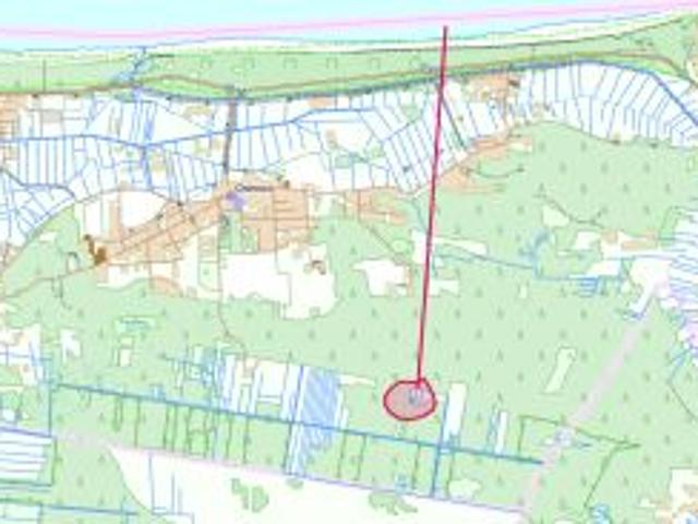 Bezpośrednio, Ostrowo, ul. Bielawska, 10000 m² Działka
