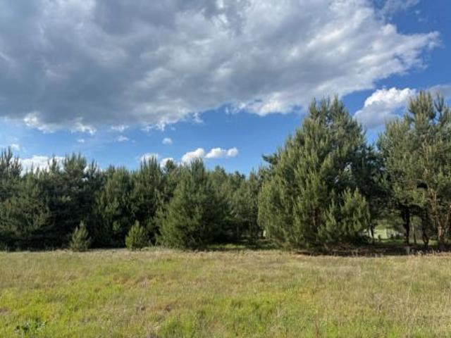 Bezpośrednio, Ostrowy nad Okszą, 931 m² Działka
