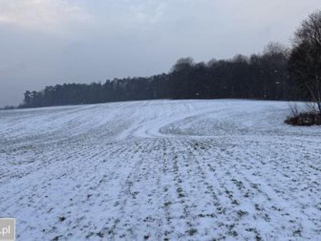 Bezpośrednio, Ostromecko, 750 m² Działka