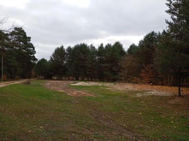Bezpośrednio, Ostrykół Dworski, ul. Letniskowa, 2955 m² Działka