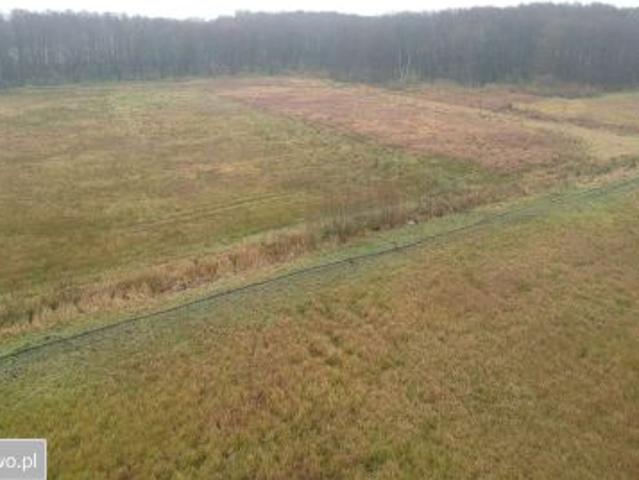 Bezpośrednio, Ostrzyca, 160300 m² Działka