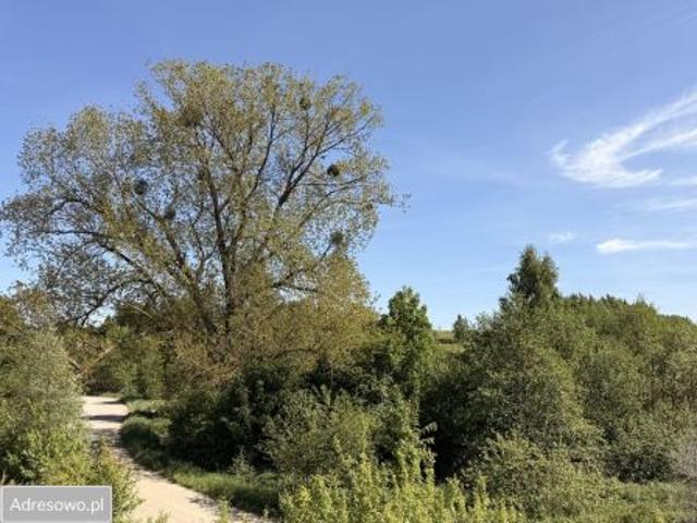 Bezpośrednio, Osłonino, ul. Nad Gizdepką, 1073 m² Działka