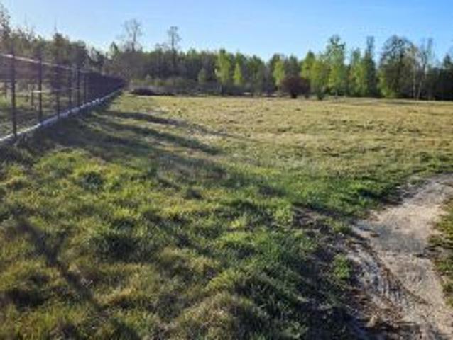 Bezpośrednio, Łosia Wólka, 1000 m² Działka