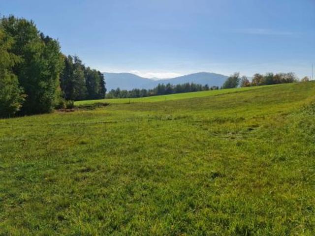 Bezpośrednio, Łosie, 4095 m² Działka