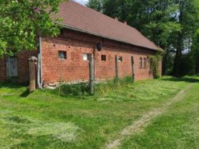 Bezpośrednio, Osiecko, 80000 m² Działka