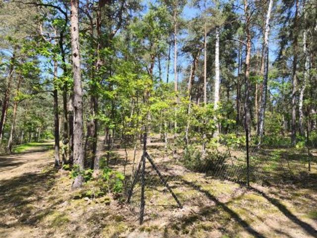 Bezpośrednio, Osiedle Wilga, ul. Łosia, 2031 m² Działka